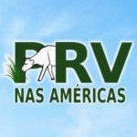 					Visualizar v. 19 n. 3 (2024): Anais do IV Encontro Panamericano sobre Manejo Agroecológico de Pastagens - PRV nas Américas – Florianópolis, SC
				